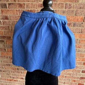 J. Crew Vibrant Blue Skater Skirt